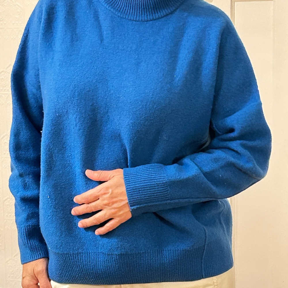 COS Blue Turtleneck Sweater (oversized)